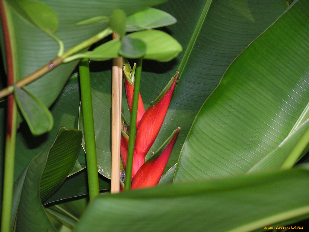 , , , 